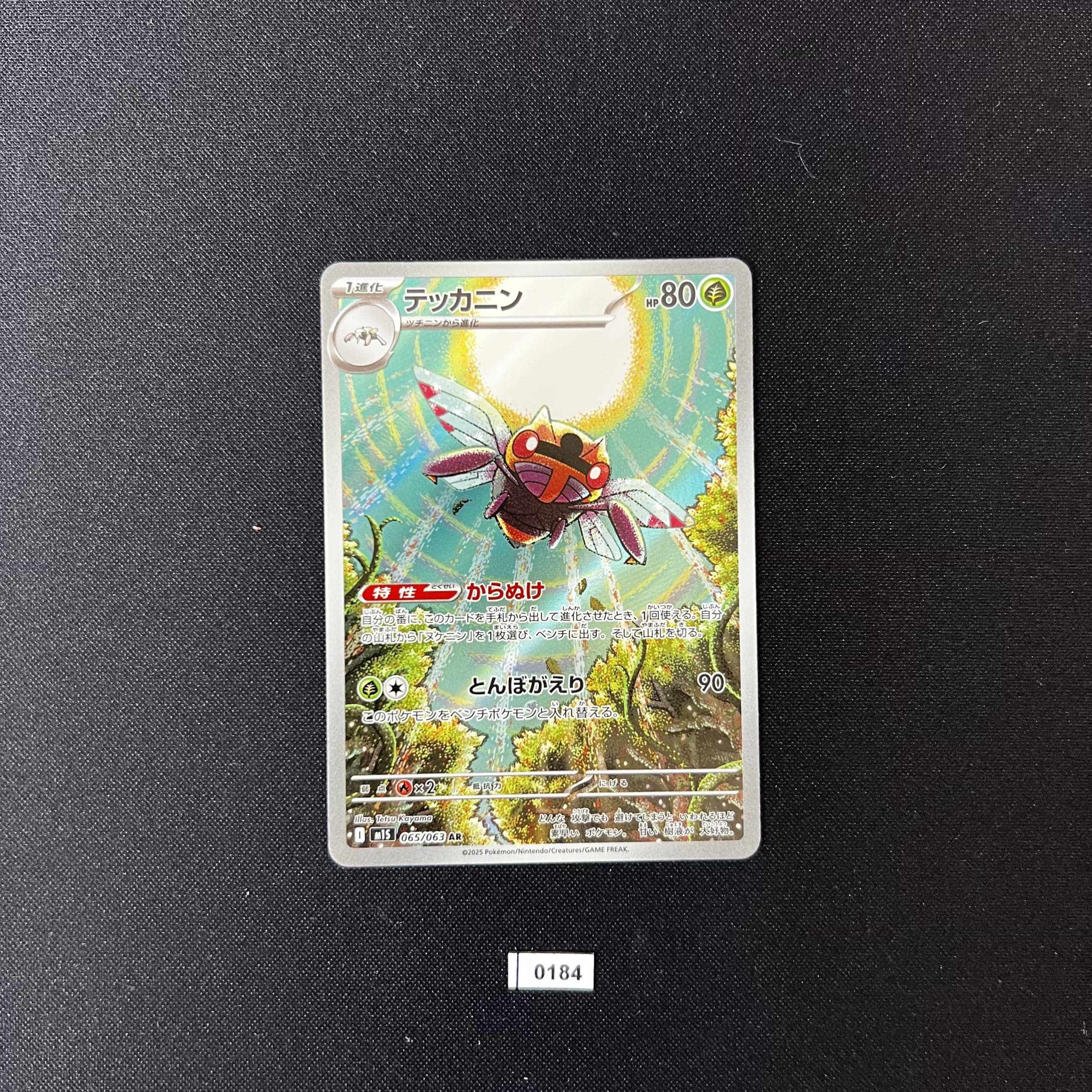 Ninjask 065/063