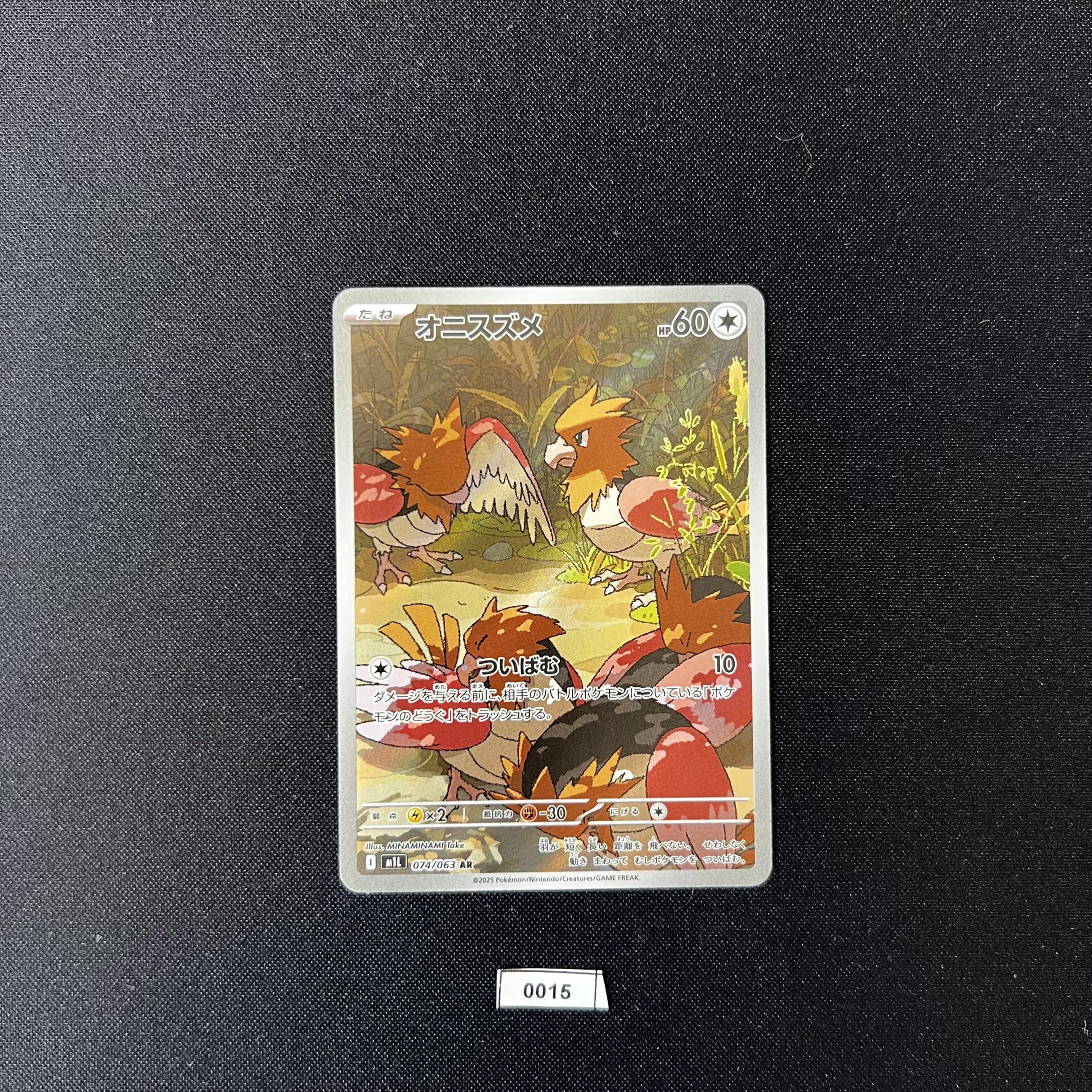 Spearow 074/063
